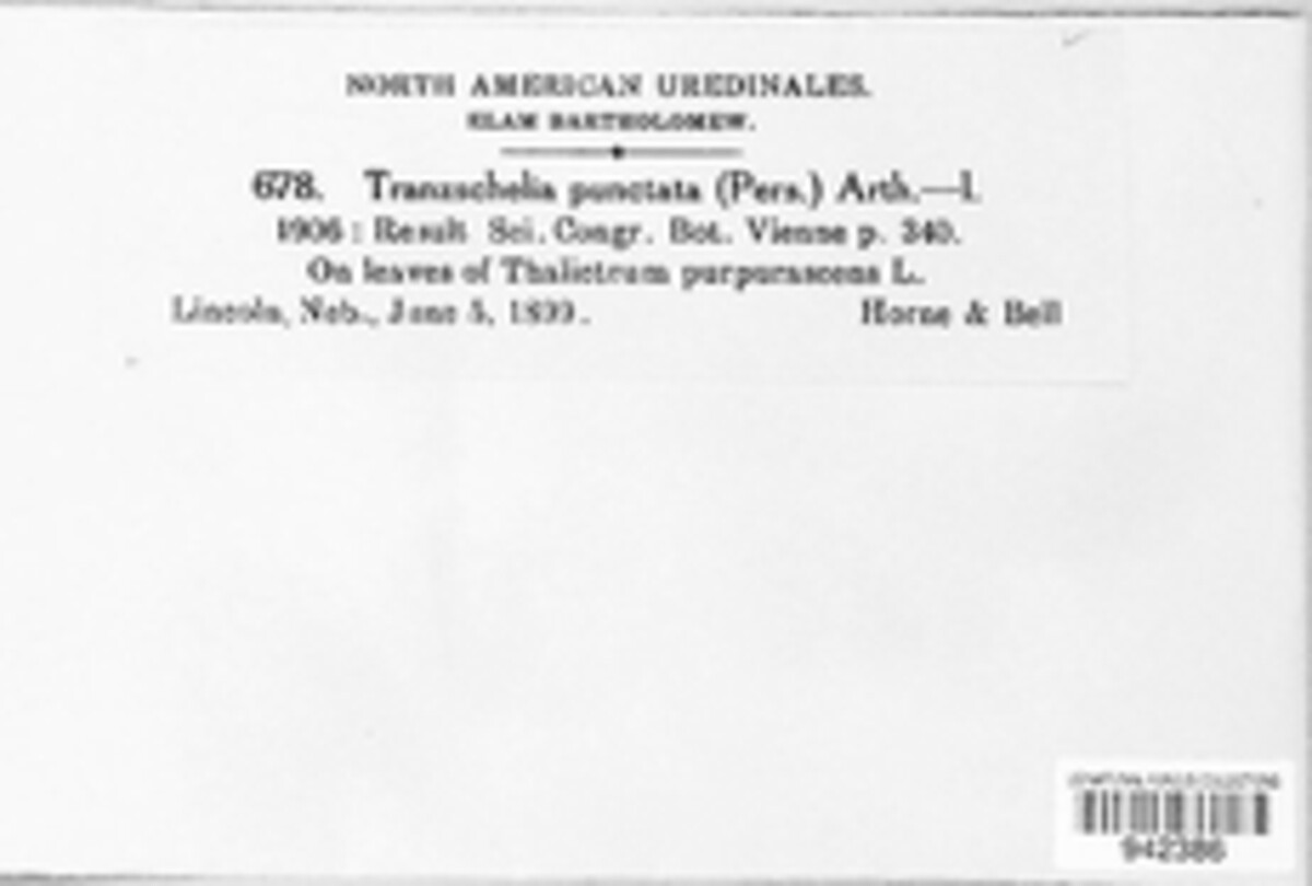 Tranzschelia discolor image